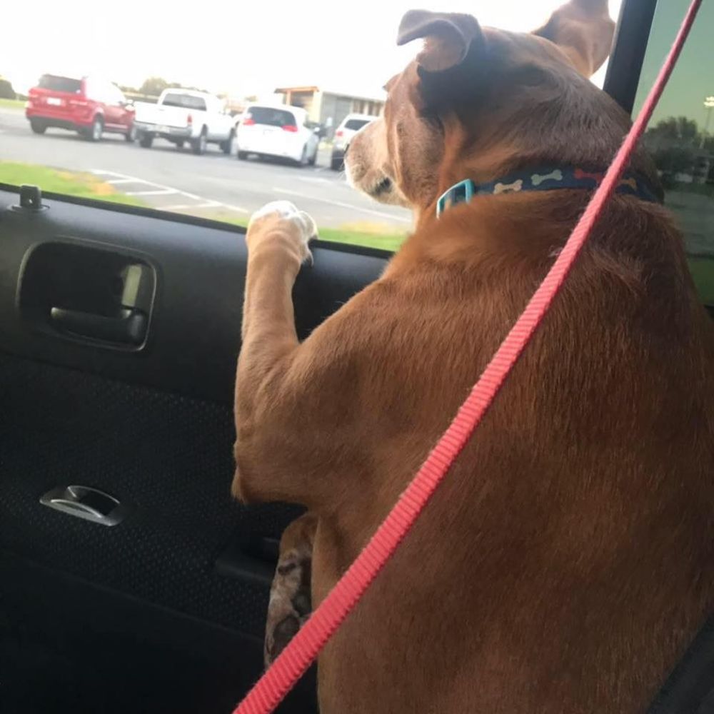 Meet your Posher, Anthony